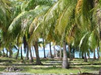 Obstlt Michael Rungaldier